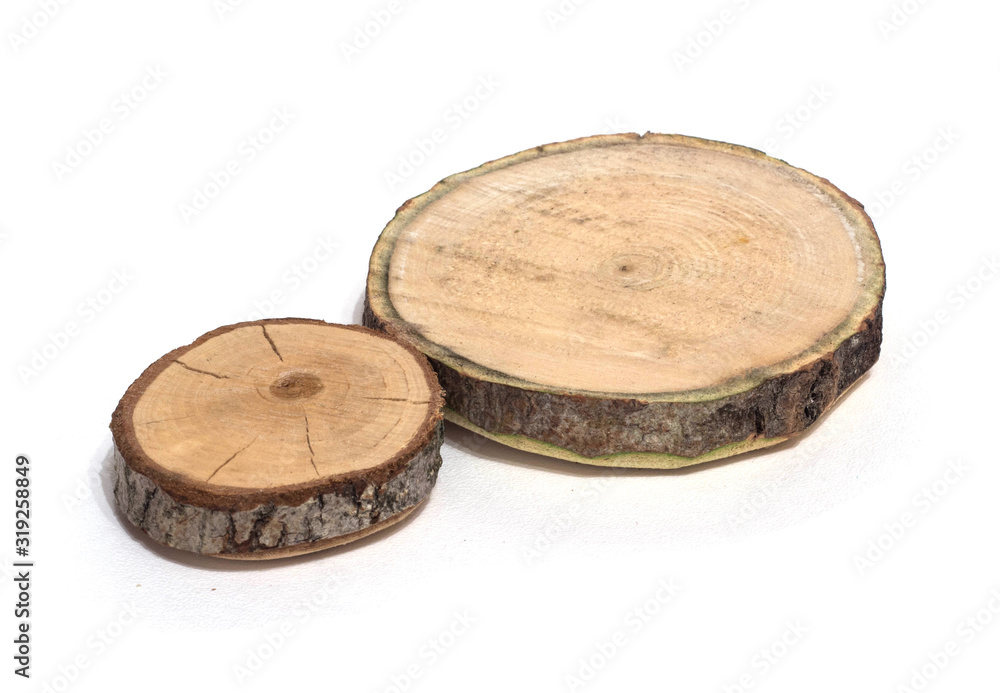 Cut of a tree on a white background Cut of a tree on a white background