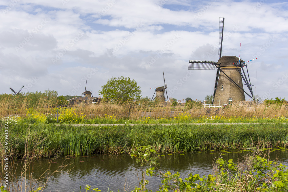 Travel in Netherlands . traditional Holland - Windmills