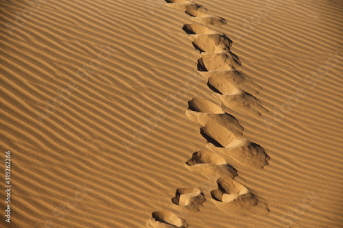ślady wielbłąda na piasku na pustyni namib w namibii