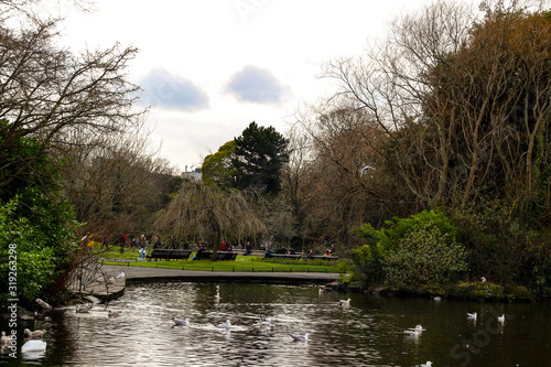 Photography A park in dublin ireland that has lots of gulls on it