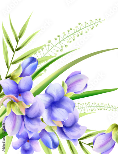 Morning glory watercolor spring flowers with green leaves