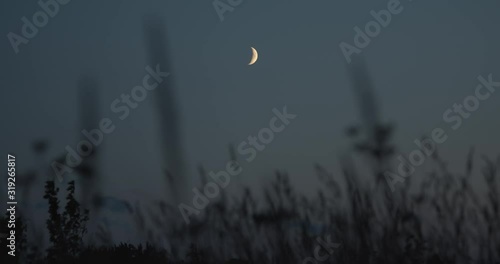 Looking at young moon from meadow in summer night sky point of view shot