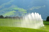 water sprinklers inaffiano cultivated fields in Val Pusteria. South Tyrol in Italy.