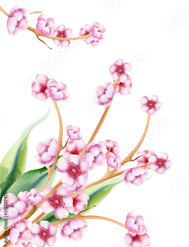 Fototapeta Naklejka Na Ścianę i Meble -  Pink spring watercolor blossom flowers with green leaves