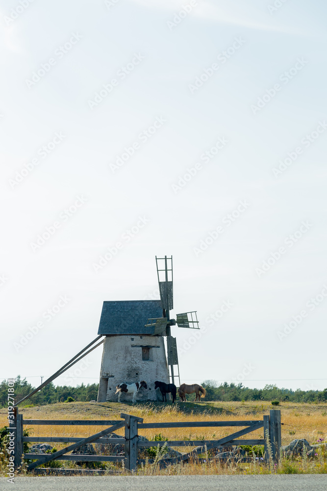 Fototapeta premium Windmill in Field with Horses