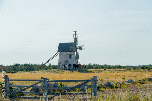 Windmill in Field with Horses