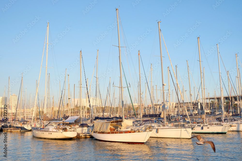 Yachts moored in the seaport. Boat parking with yachts on a sunny day. Sea harbor.