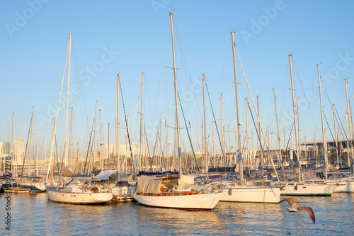 Yachts moored in the seaport. Boat parking with yachts on a sunny day. Sea harbor. © Andrii