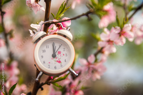 The concept of the beginning of spring. Alarm clock on a flowering branch close-up and copy space. White clock and flowers as a postcard for the holiday.