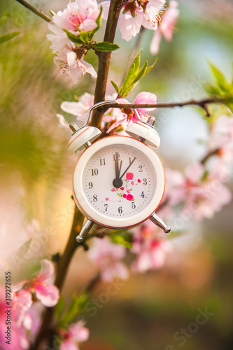 The concept of the beginning of spring. Alarm clock on a flowering branch close-up and copy space. White clock and flowers as a postcard for the holiday.