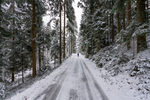 Winterwanderweg im tief verschneiten Wald