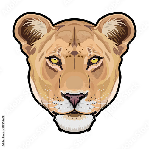 Photo Lioness animal cute face