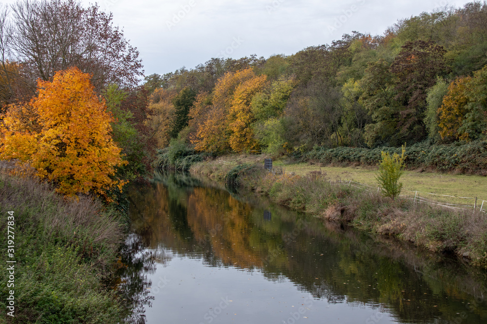 Germany,Autumnal view from the river White Elster in the Leipzig Riverside Forest in the south of Leipzig Germany,Autumnal view from the river White Elster in the Leipzig Riverside Forest in the south of Leipzig