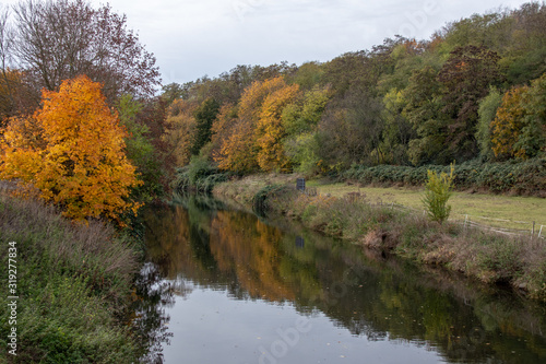 Germany Autumnal view from the river White Elster in the Leipzig Riverside Forest in the south of Leipzig