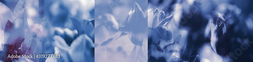 tulpen gefärbt collage trauer blau panorama