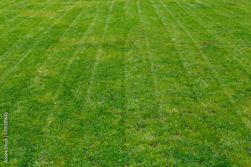 Striped fresh mowed garden lawn in summer