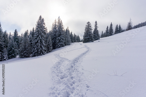 Winter landscape in the mountains. Rusinowa Glade. Tatry.