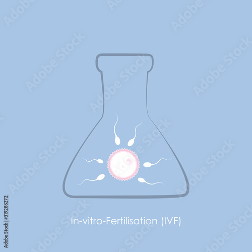 fertility reproduction of ovum and spermatozoon IVF vector illustration EPS10
