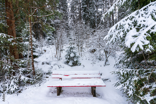 Winterlandschaft mit bedeckten Himmel photo