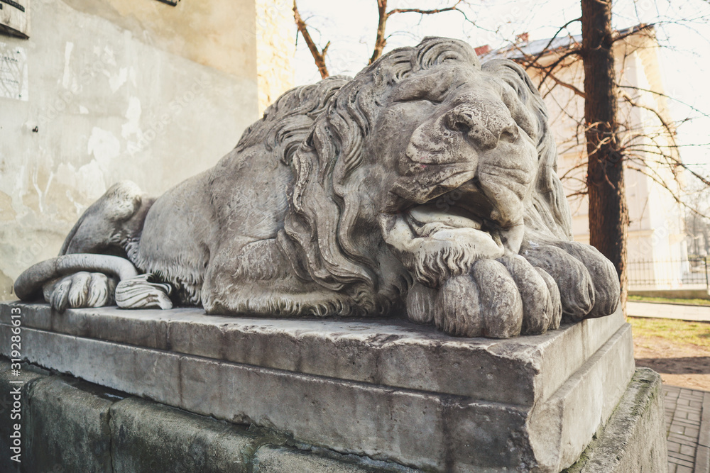 The sculpture of the lion.Old streets of Lviv. Austrian architecture. City details. The atmosphere of Leopolis.