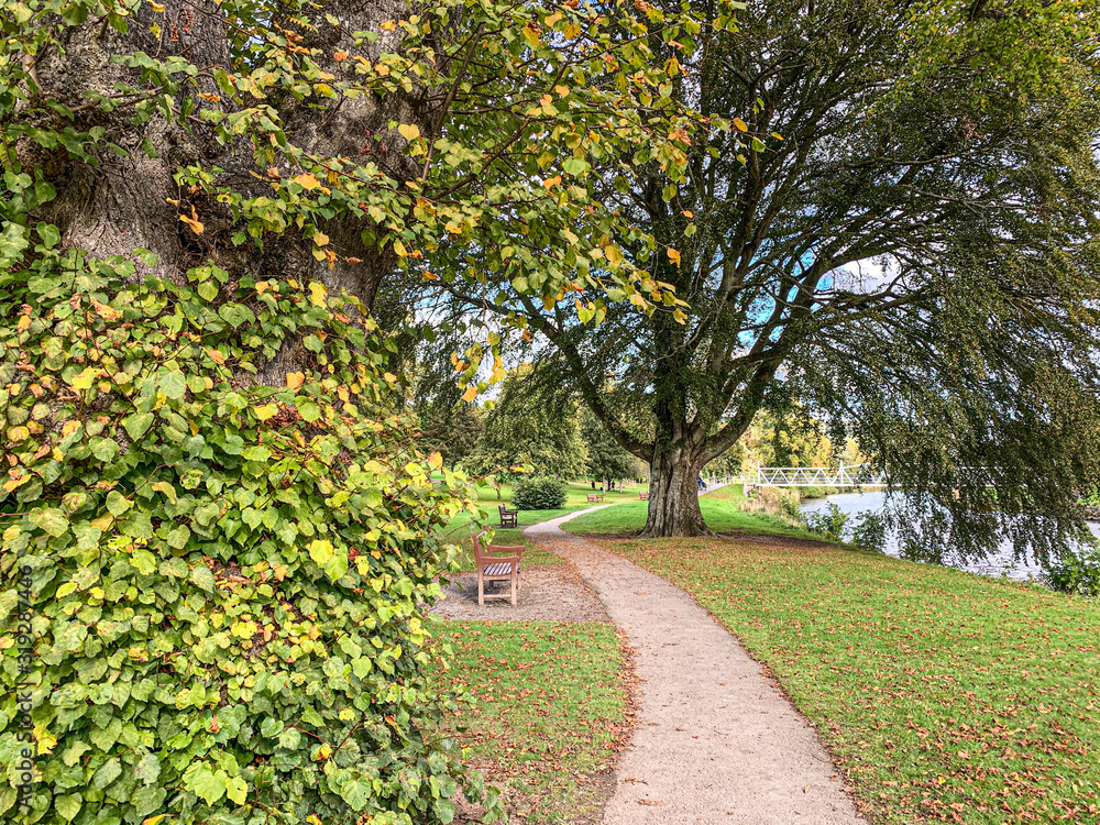 Late Summer in Haylodge Park, Peebles, Scotland