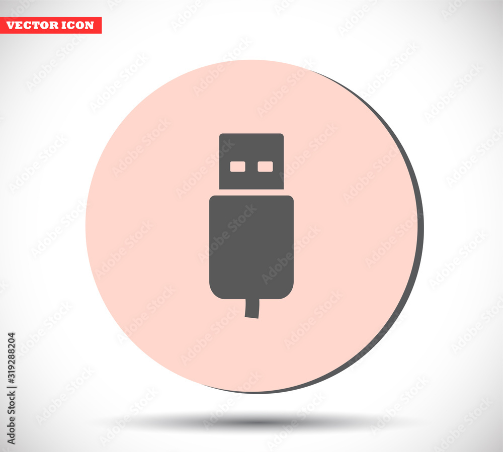 Flash drive vector icon , lorem ipsum Flat design Flash drive vector icon , lorem ipsum Flat design