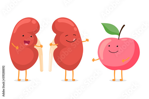 Strong healthy happy kidney smiling emotion character with red apple. Human anatomy genitourinary system internal organ with eco food nutrition. Vector vegetable illustration