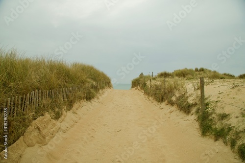 chemin -  des dunes vers l oc  an