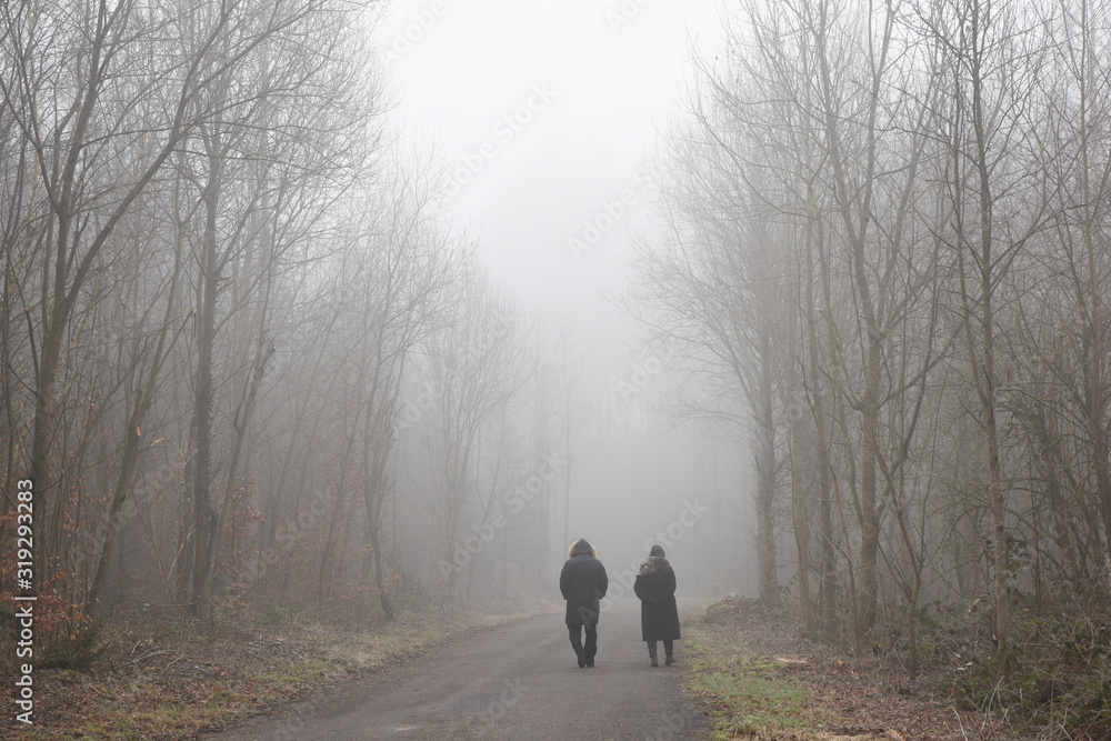 couple marchant sur un chemin dans le bois couple marchant sur un chemin dans le bois