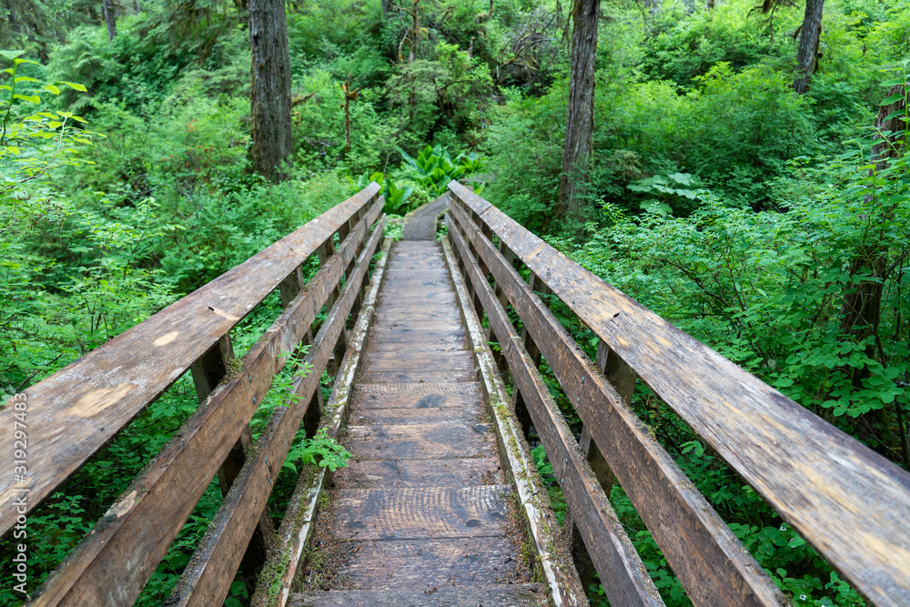 Boardwalk and bridge on a nature hike on Kuprenaof Island near Petersburg, Alaska Boardwalk and bridge on a nature hike on Kuprenaof Island near Petersburg, Alaska