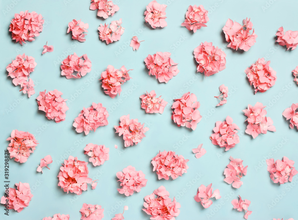 Pastel composition of coral, pink flowers, on a blue background. Pastel composition of coral, pink flowers, on a blue background.