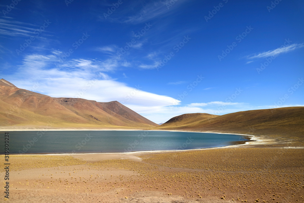 Laguna Miniques, one of amazing blue lagoon on the altiplano of Antofagasta region, northern Chile