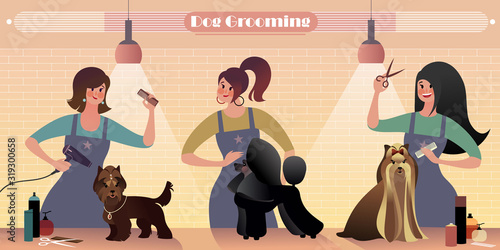 Dog Grooming Salon. Flat vector mockup for a layout landing page or design advertising banner.