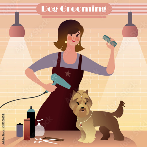Pet Groomer girl combing and blow dry wire-haired dog. Flat vector mockup for a layout landing page or design advertising banner.