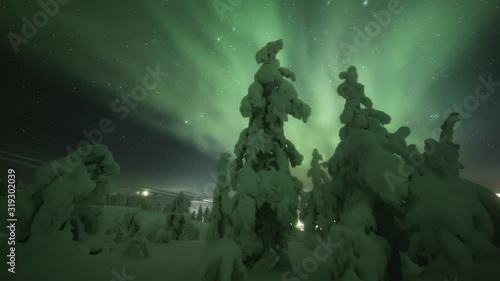 Auroras over snow covered trees, village lights glowing in the valley