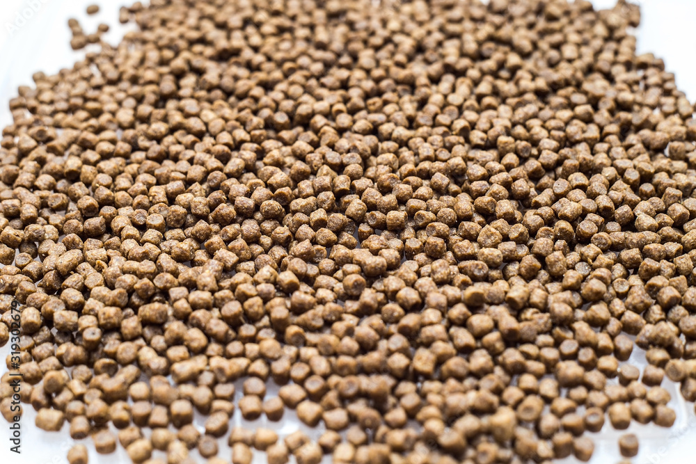 cat food closeup, food for small kittens cat food closeup, food for small kittens