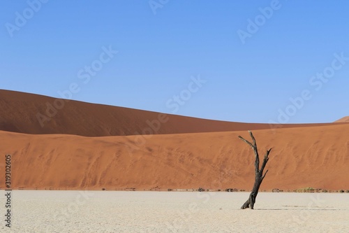 Sossusvlei Namib