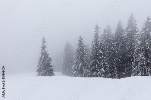 Fantastische Winterlandschaft © Joseph Maniquet