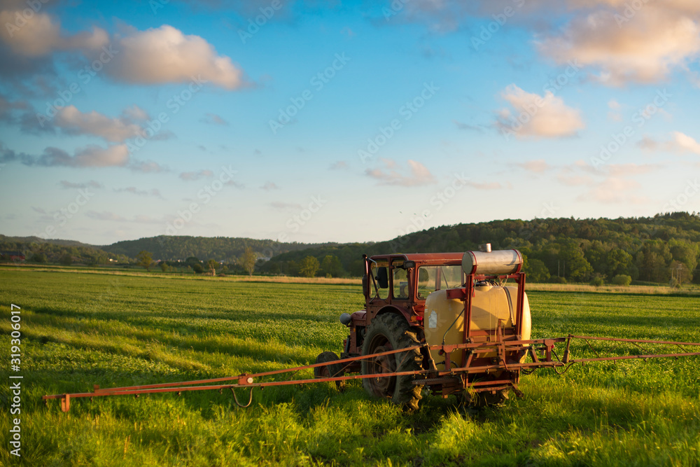 Fototapeta premium combine harvester working on wheat field