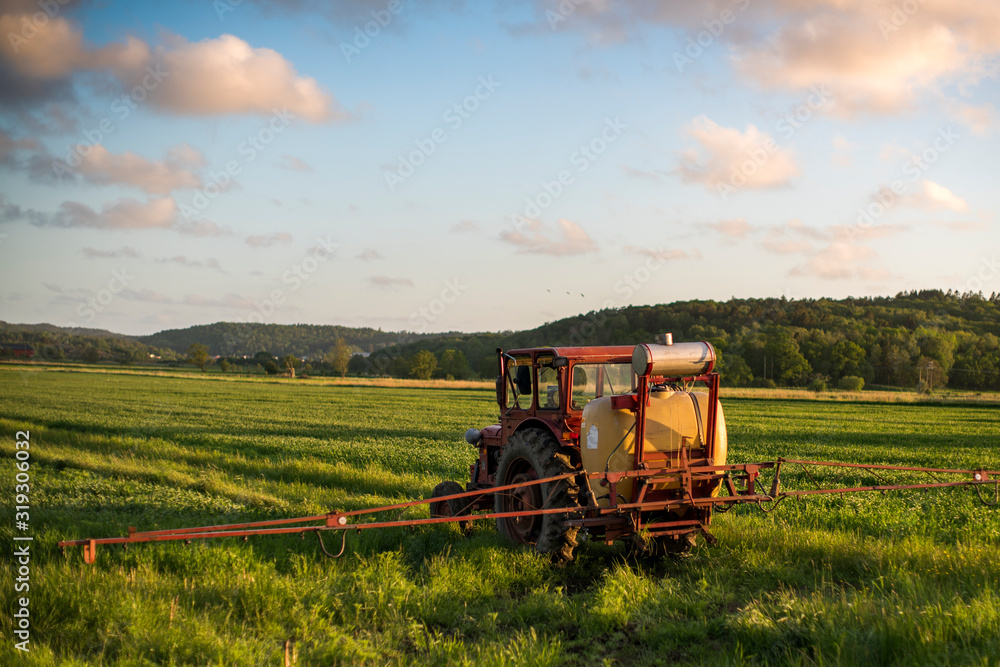 Obraz premium combine harvester working on wheat field