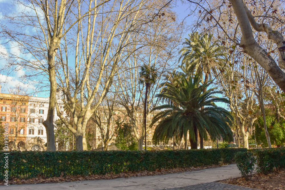 Fototapeta premium Streets of Rome