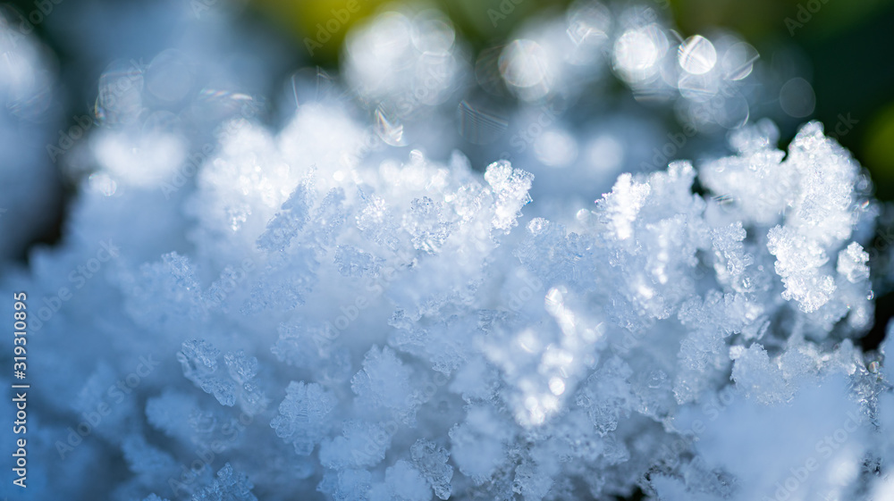 Fresh winter snow closeup of crystals. Shallow depth of field. Winter background - obrazy, fototapety, plakaty 