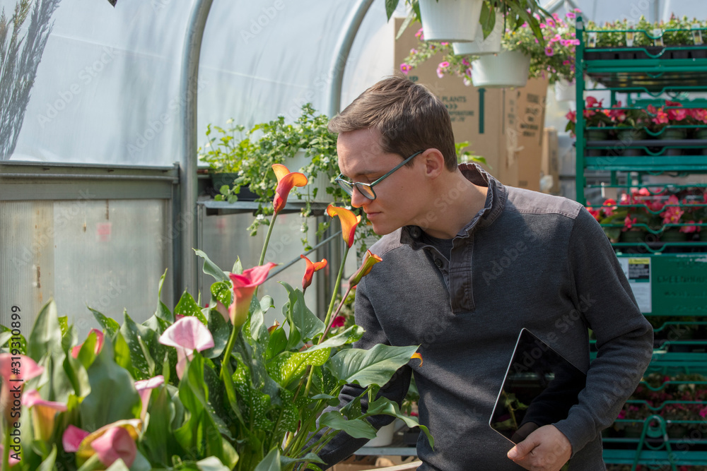 male landscape designer shopping at garden center and smelling flowers male landscape designer shopping at garden center and smelling flowers