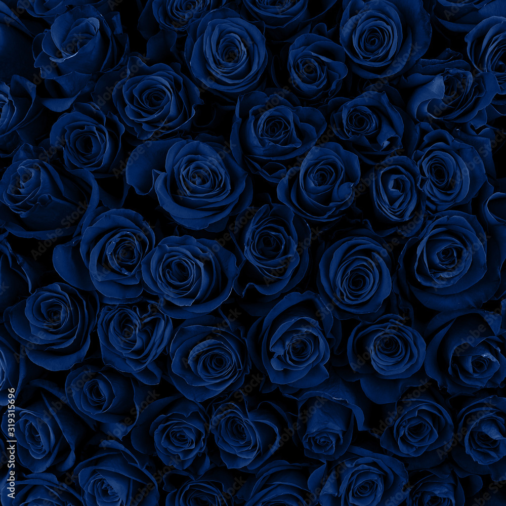 Fototapeta Beautiful blue roses background. Classic Blue color. Fashionable color