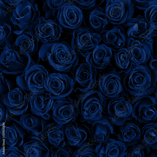 Beautiful blue roses background. Classic Blue color. Fashionable color