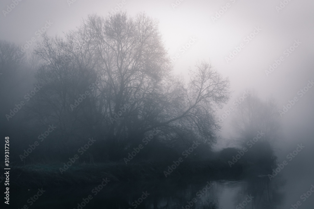 Obraz premium Dead winter mist