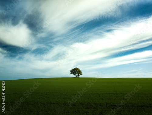 landscape with a tree and clouds