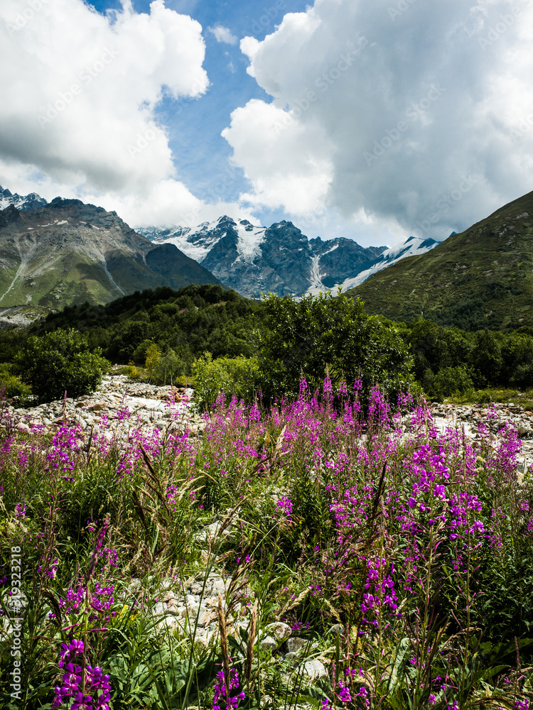 Mountainscape with pink flowers
