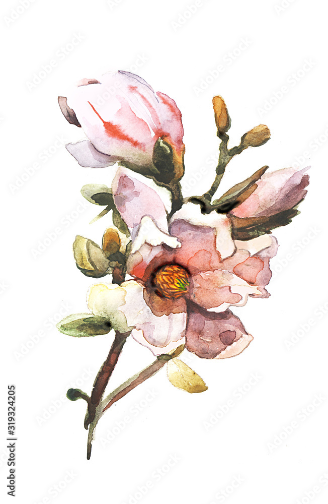 Fototapeta premium flowers on white background