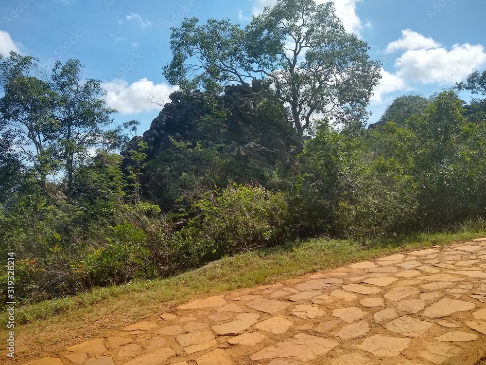 trail trail